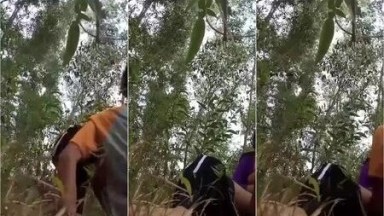 Bokep Indo Main Dikebun Sudah Mau Sore Ceweknya Bilang Sebntar Lagi - BOKEPI BOKEP INDO